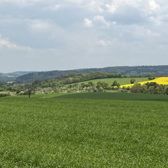 22-05-02 14-20-21 0735